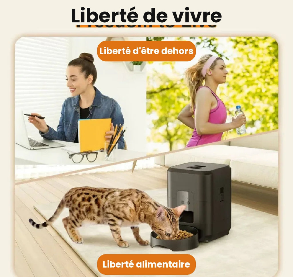 CrokiPet 2L – Distributeur Automatique WiFi pour Chien & Chat
