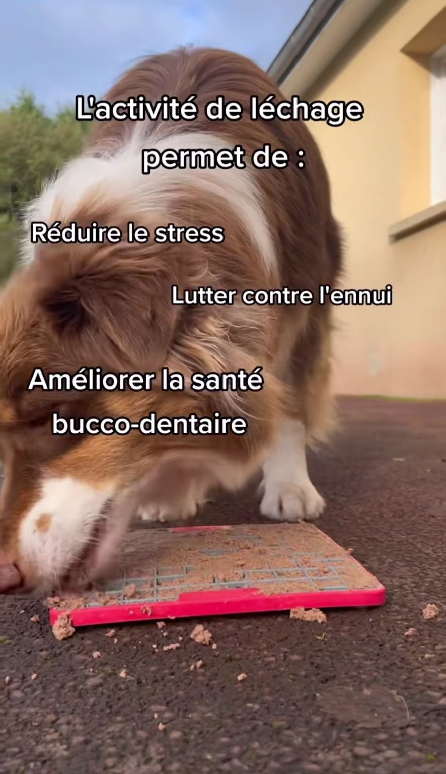 Tapis à léchage anti-stress pour chien et chat